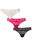 Venus Perfect Passion Pearl By Venus? Allover Lace Thong 3 Pack Venus Perfect Passion Pearl By Venus? Allover Lace Thong 3 Pack
