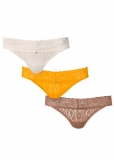Venus Sugar And Spice Pearl by VENUS? Allover Lace Thong 3 Pack Venus Sugar And Spice Pearl by VENUS? Allover Lace Thong 3 Pack